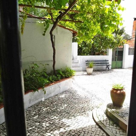 Casa Dos Pocinhos Ferias Tranquilas No Campo Torres Novas Eksteriør bilde