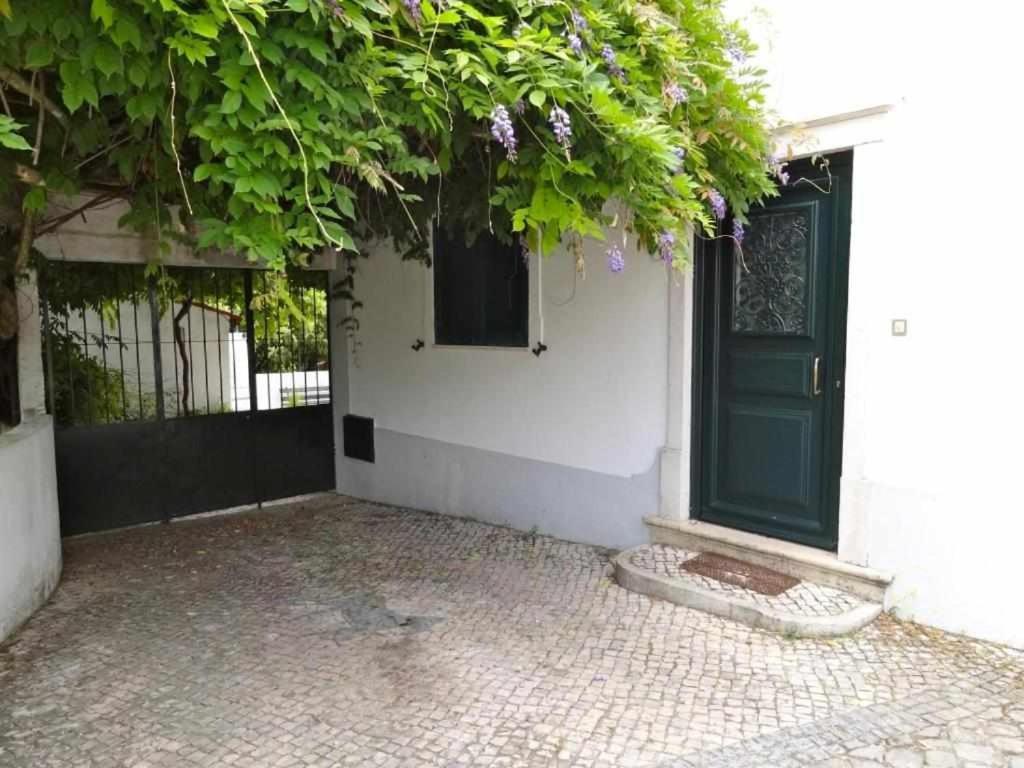 Casa Dos Pocinhos Ferias Tranquilas No Campo Torres Novas Eksteriør bilde