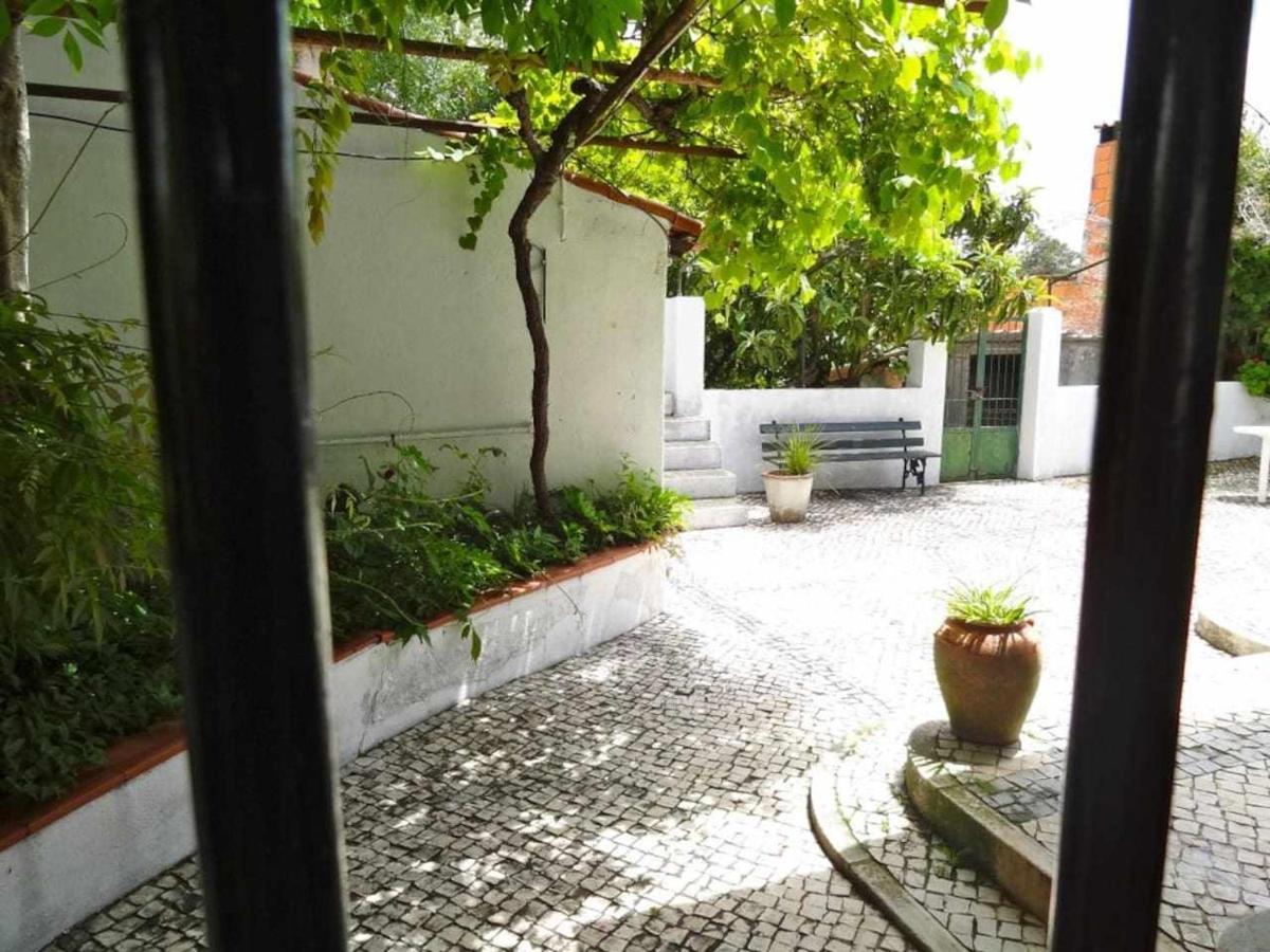 Casa Dos Pocinhos Ferias Tranquilas No Campo Torres Novas Eksteriør bilde