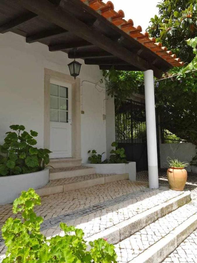 Casa Dos Pocinhos Ferias Tranquilas No Campo Torres Novas Eksteriør bilde